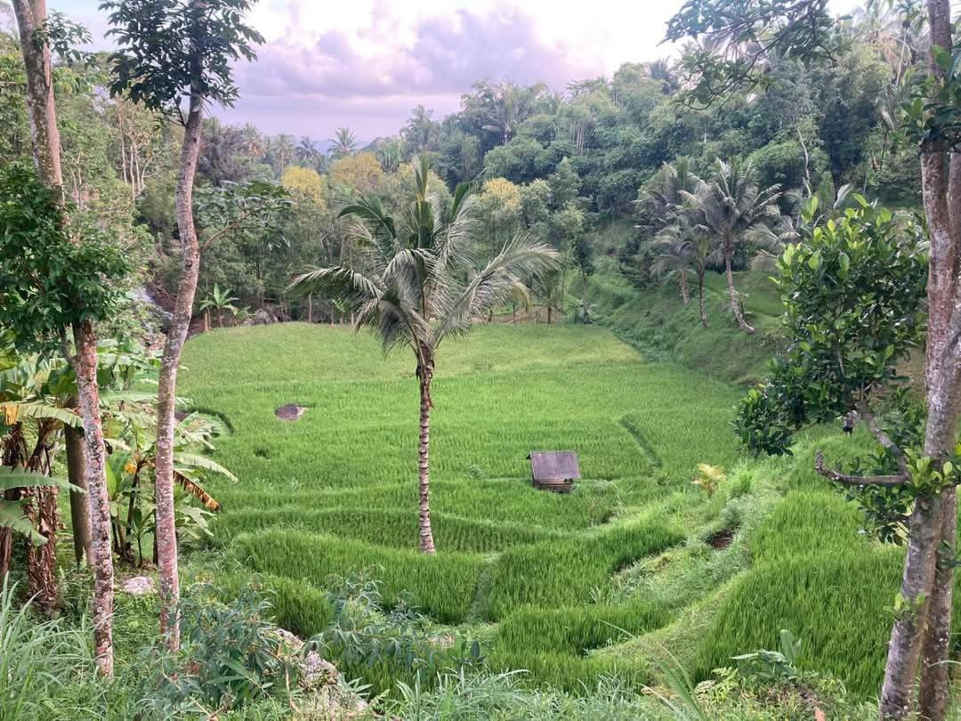 Hotel Satu Lingkung Tetebatu Esterno foto