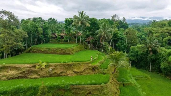 Hotel Satu Lingkung Tetebatu Esterno foto