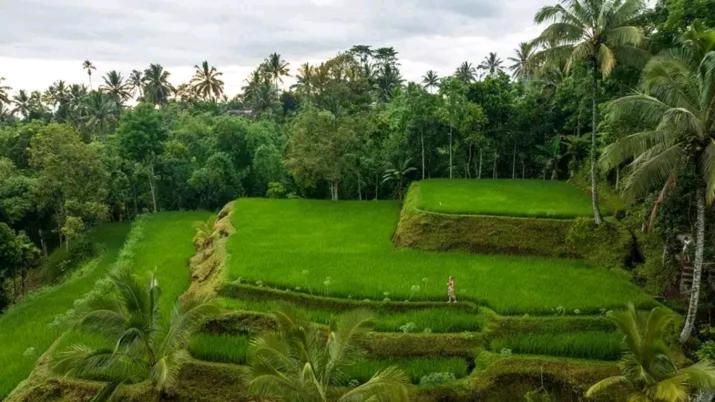 Hotel Satu Lingkung Tetebatu Esterno foto