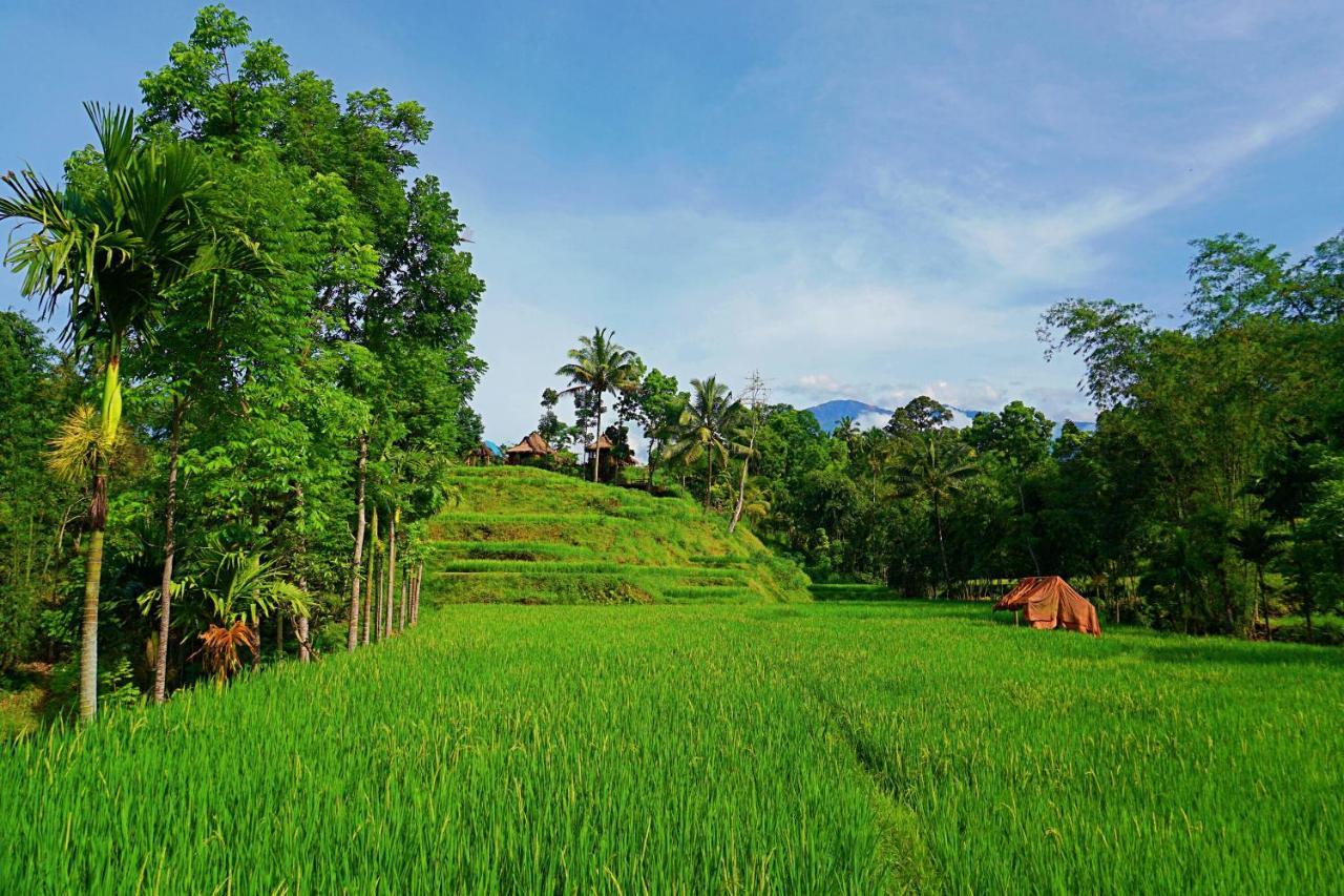 Hotel Satu Lingkung Tetebatu Esterno foto