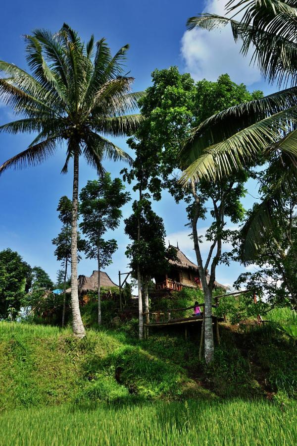 Hotel Satu Lingkung Tetebatu Esterno foto