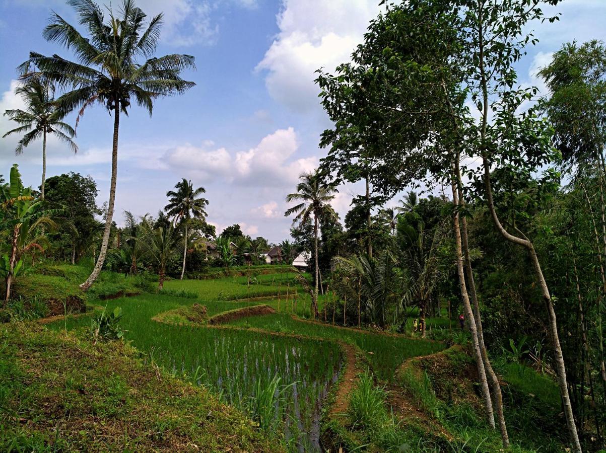 Hotel Satu Lingkung Tetebatu Esterno foto